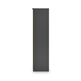 Jago-tall-2-door-mirrored-wardrobe-black from Roseland Furniture