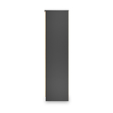 Jago-tall-3-door-2-drawer-wardrobe-black from Roseland Furniture