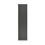 Jago-tall-3-door-2-drawer-mirror-wardrobe-black from Roseland Furniture