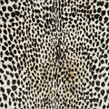 Faux Fur Cheetah Print Rug Brown White from Roseland Furniture
