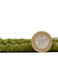 Lauder Plain Wool Border Rug Green from Roseland Furniture