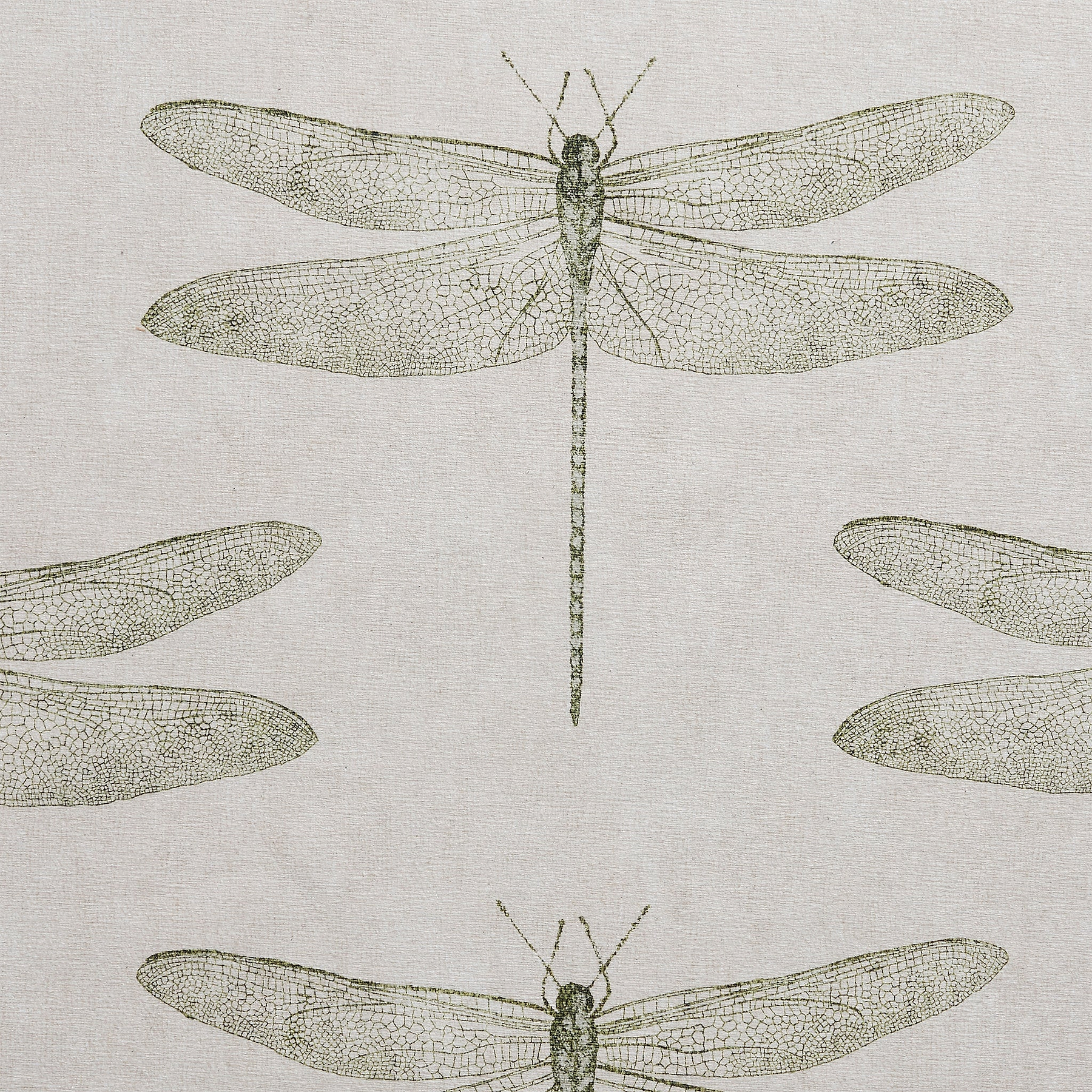 Harlequin Demoiselle Fern Rug from Roseland Furniture