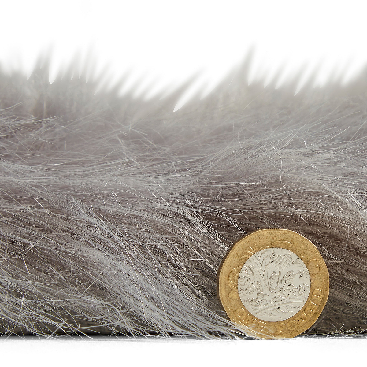 Mayfair Plain Shaggy Rug Grey from Roseland Furniture