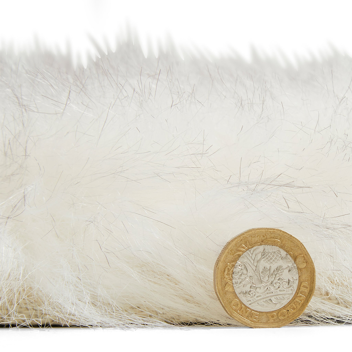 Mayfair Plain Shaggy Rug White from Roseland Furniture