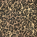 Leopard Washable Flatweave Rug Black from Roseland Furniture