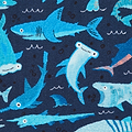 Kids Jawsome Sharks Washable Rug 080 x 150 Blue from Roseland Furniture