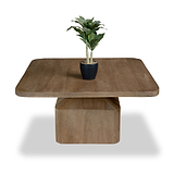 Nao Mango Wood Coffee Table Angle1 from Roseland Furniture