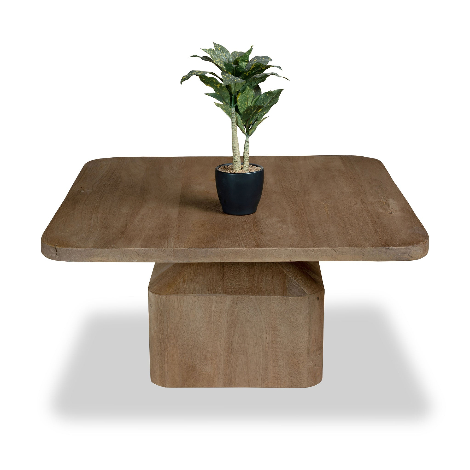 Nao Mango Wood Coffee Table Angle1 from Roseland Furniture
