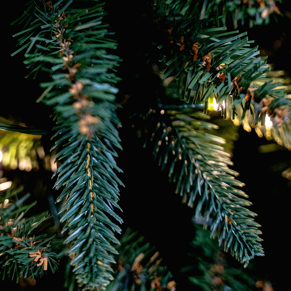 LAURIESTON PINE 6.5ft Tree WWLED from Roseland Furniture