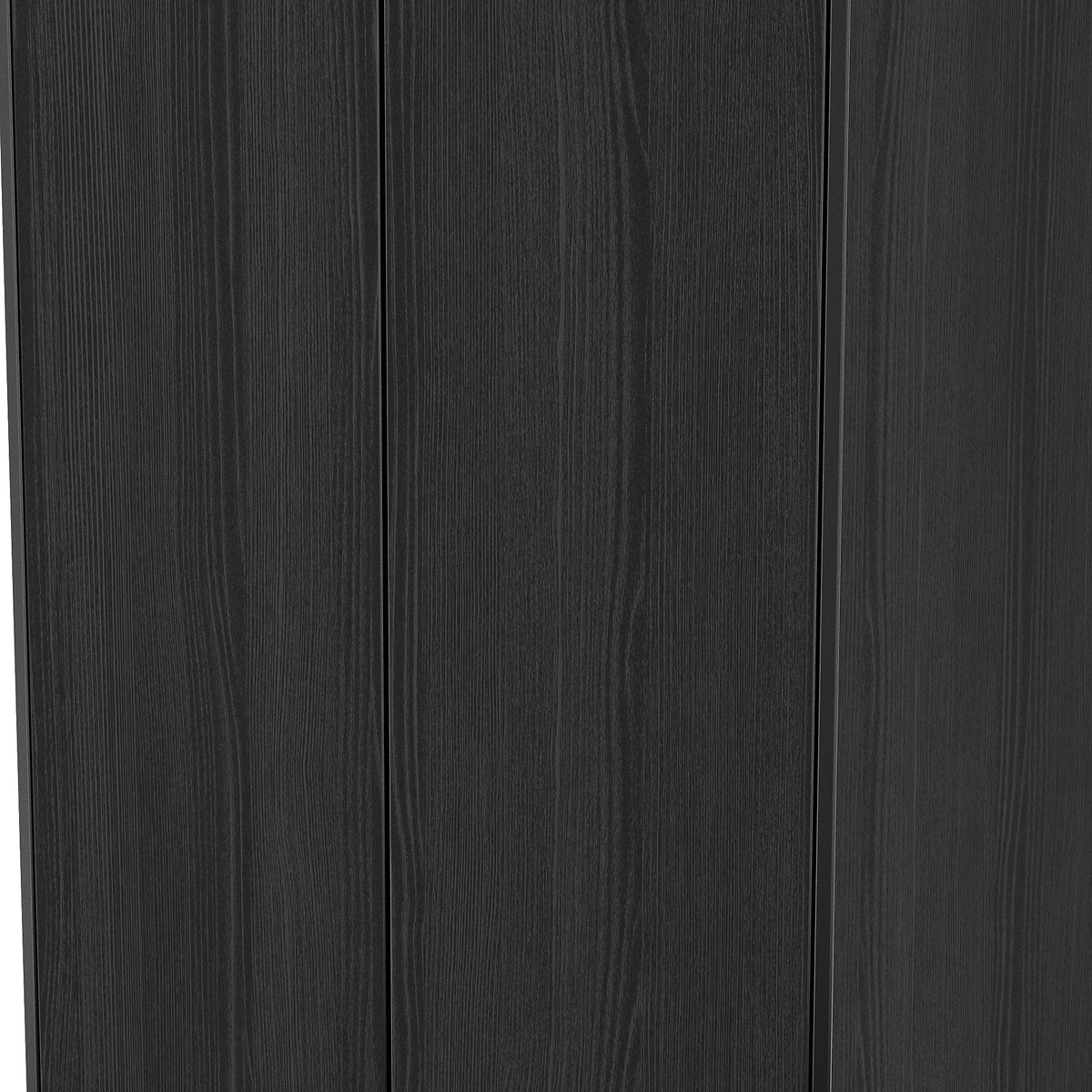 Axton Double Wardrobe Black Ash from Roseland Furniture