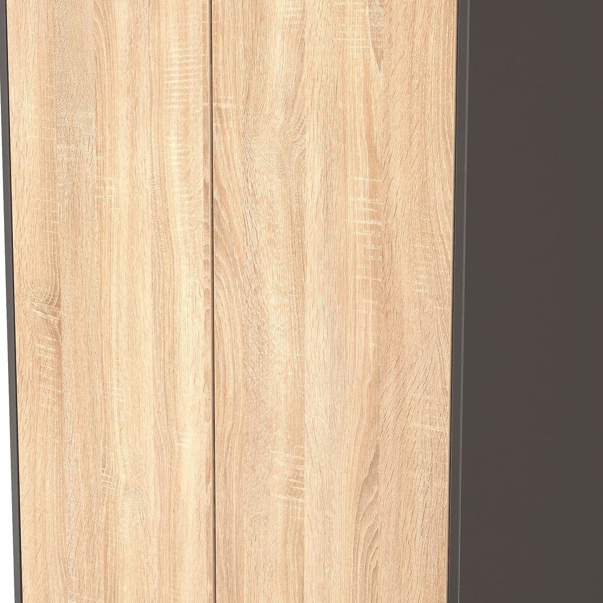 Axton Double Wardrobe Oak Graphite from Roseland Furniture