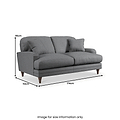 Bampton 2 Seater Sofa Charcoal Beech Feet from Roseland Furniture