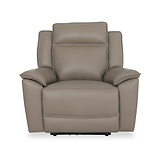 Alden Leather Electric Recliner Armchair