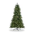 NORTHERN NOBEL 6.5ft Tree WWLED from Roseland Furniture