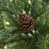 NORTHERN NOBEL 6.5ft Tree WWLED from Roseland Furniture