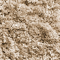 Hatton Beige Hand Tufted Shaggy Rug