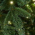 RIVINGTON FIR 7.5ft Tree WWLED from Roseland Furniture