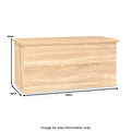 Bramwell Blanket Box Oak from Roseland Furniture