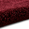 Roswell Ruby Red Stain Resistant Shaggy Rug 