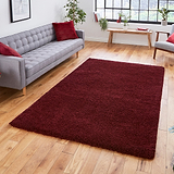 Roswell Ruby Red Stain Resistant Shaggy Rug for living room