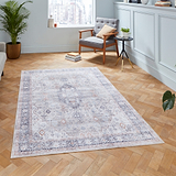 Lincoln Beige Distressed Medallion Rug for living room