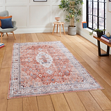 Lincoln Terracotta Distressed Medallion Rug  for living room