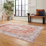 Lincoln Terracotta Distressed Medallion Rug  for bedroom