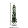THETFORD FIR 6.5ft Tree from Roseland Furniture