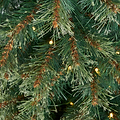 THETFORD FIR 6.5ft Tree WWLED from Roseland Furniture
