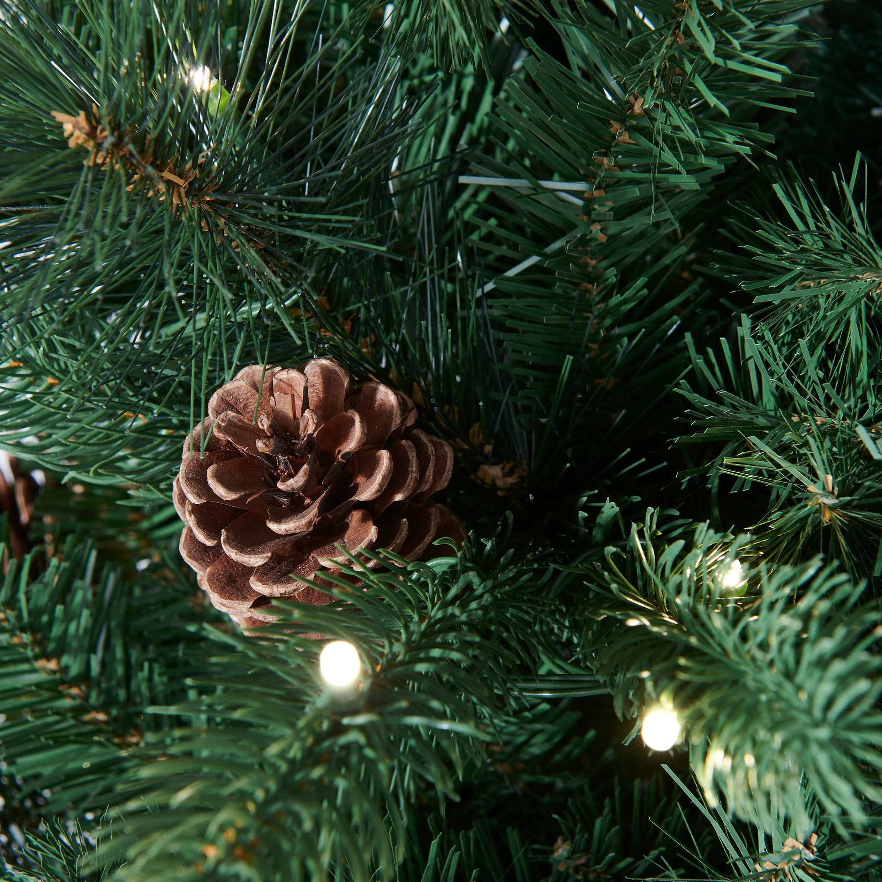 WALNUT PINE Bristle Tree 4.5ft WWLED from Roseland Furniture