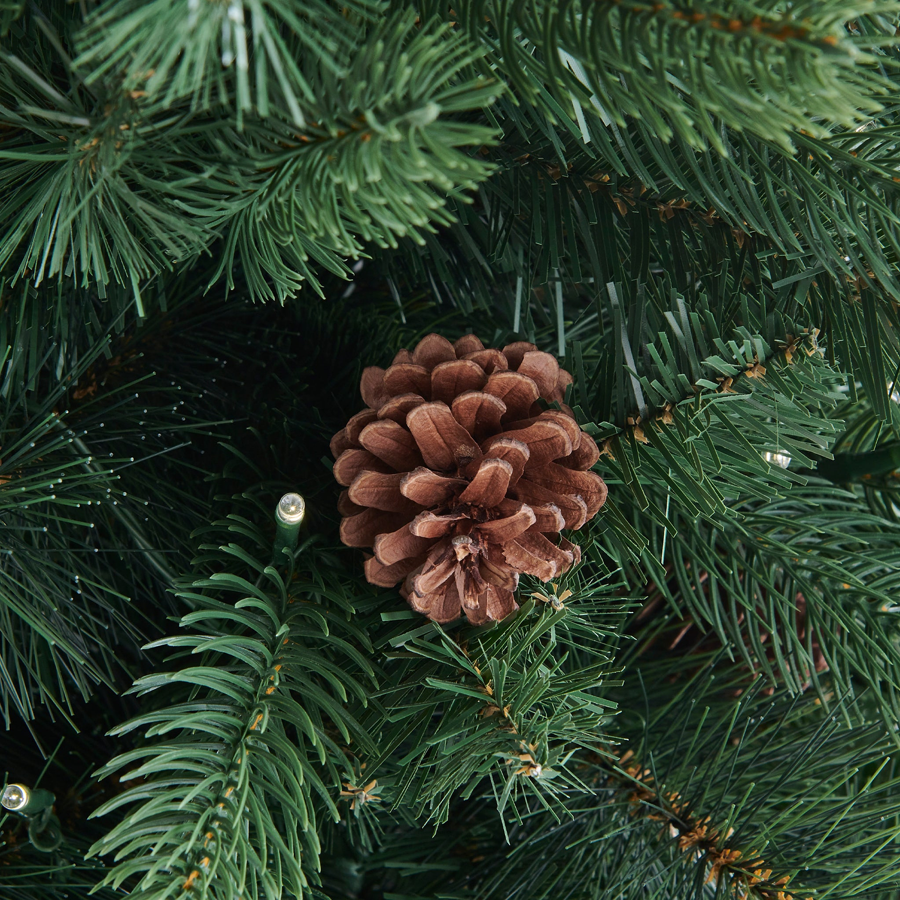 WALNUT PINE Bristle Tree 4.5ft WWLED from Roseland Furniture