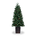 WALNUT PINE Bristle Tree 4.5ft WWLED from Roseland Furniture