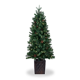 WALNUT PINE Bristle Tree 4.5ft WWLED from Roseland Furniture
