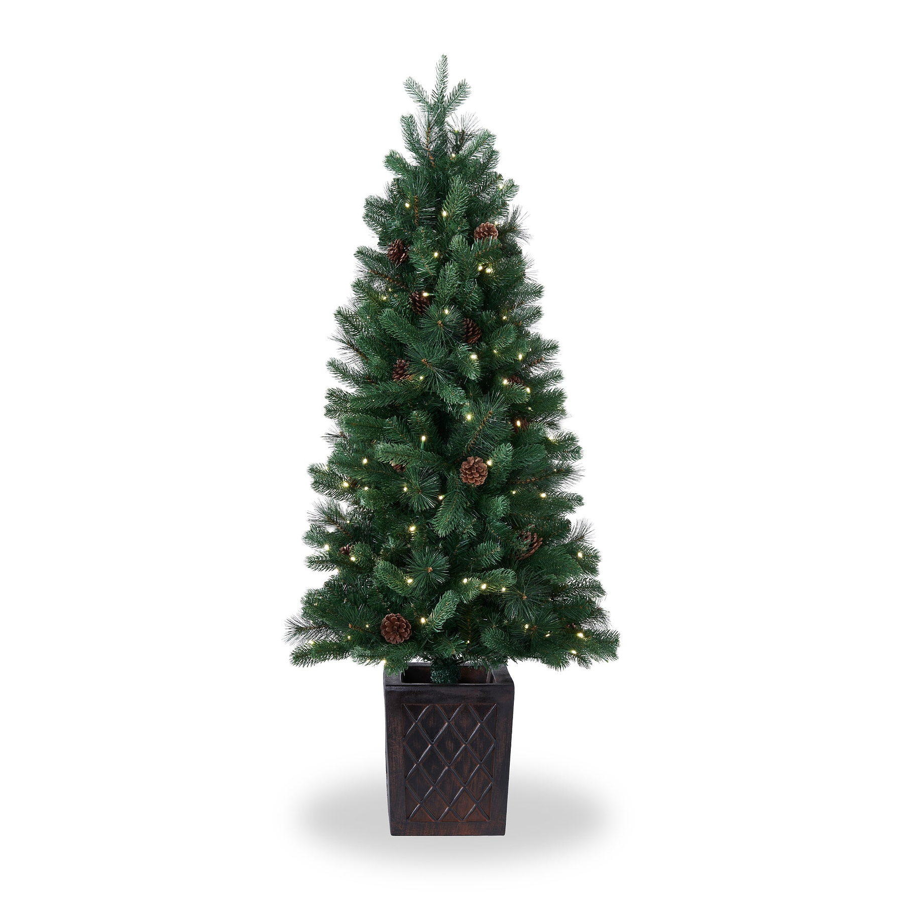 WALNUT PINE Bristle Tree 4.5ft WWLED from Roseland Furniture
