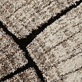 Woodland Tree Patterned Rug