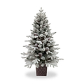 SNOWY WINTERFOLD FIR 4.5ft Tree WWLED from Roseland Furniture