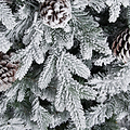 SNOWY WINTERFOLD FIR 6.5ft Tree from Roseland Furniture