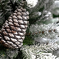 SNOWY WINTERFOLD FIR 6.5ft Tree from Roseland Furniture