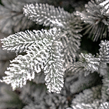 SNOWY WINTERFOLD FIR 6.5ft Tree from Roseland Furniture