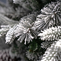 SNOWY WINTERFOLD FIR 6.5ft Tree from Roseland Furniture