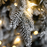SNOWY WINTERFOLD FIR 6.5ft Tree WWLED from Roseland Furniture