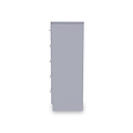 Bellamy Grey Ash 5 Drawer Chest from Roseland Furniture