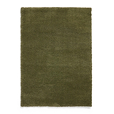 Roswell Olive Stain Resistant Shaggy Rug for living room