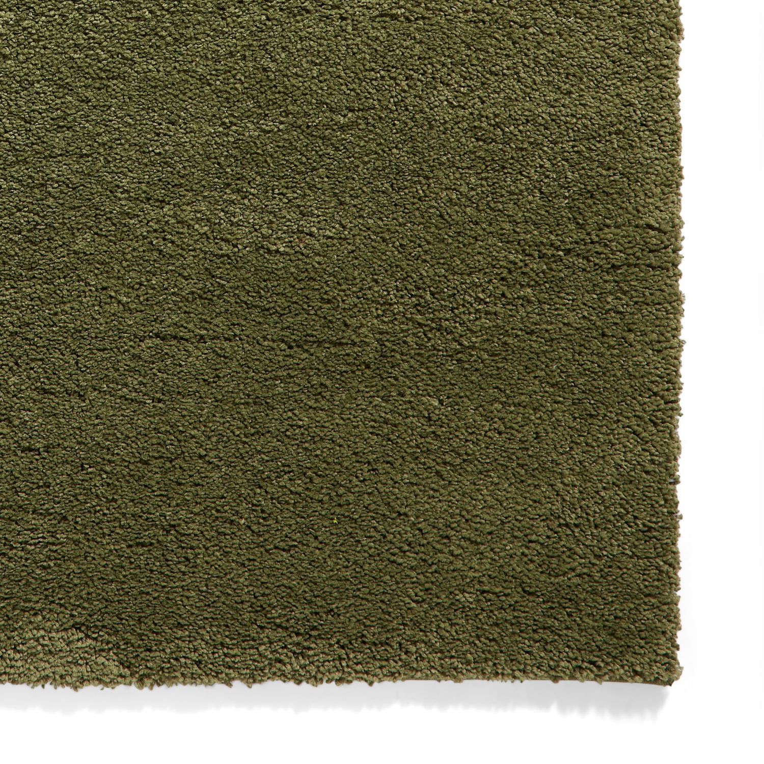Roswell Olive Stain Resistant Shaggy Rug for living room