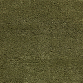 Roswell Olive Stain Resistant Shaggy Rug for living room