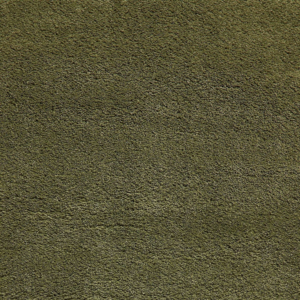 Roswell Olive Stain Resistant Shaggy Rug for living room