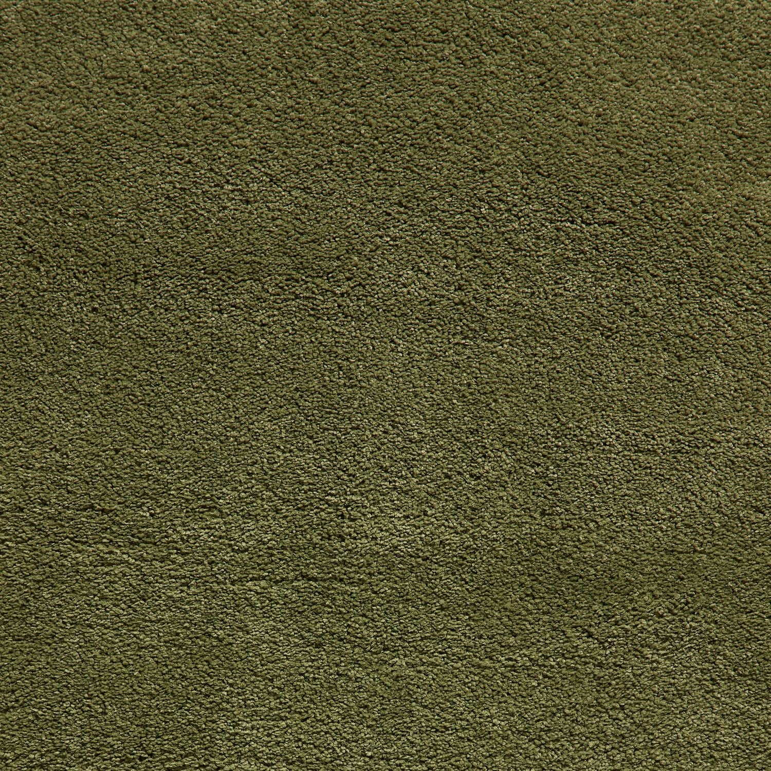 Roswell Olive Stain Resistant Shaggy Rug for living room