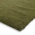 Roswell Olive Stain Resistant Shaggy Rug for living room