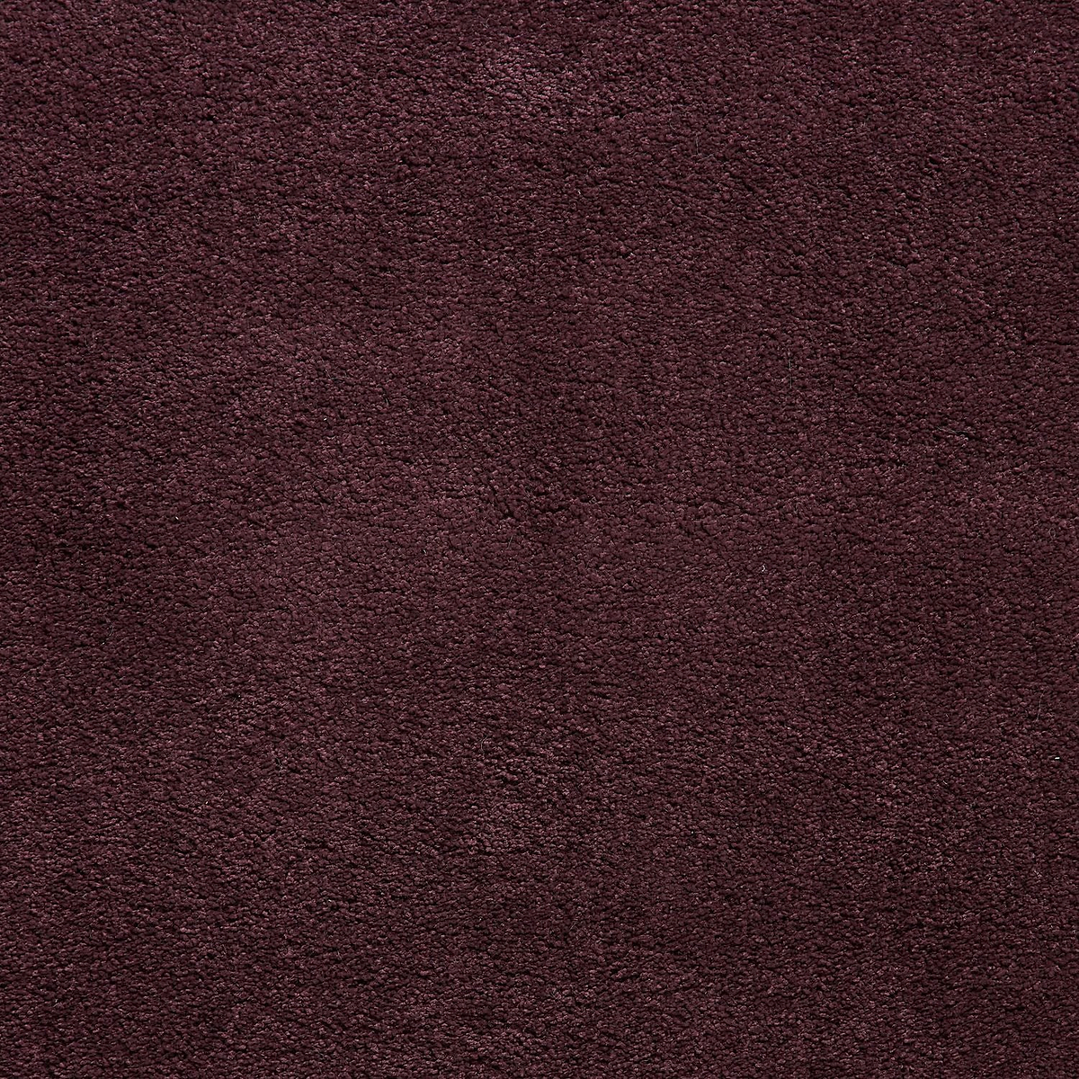 Roswell Purple Stain Resistant Shaggy Rug for living room