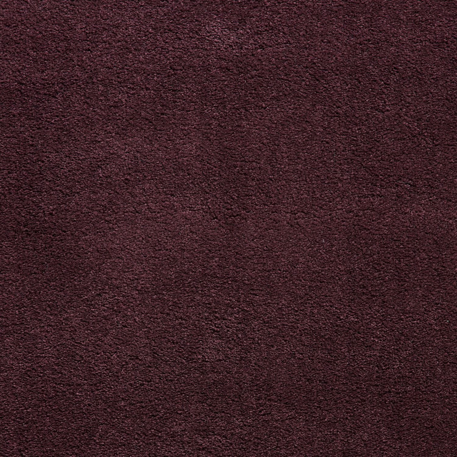 Roswell Purple Stain Resistant Shaggy Rug for living room